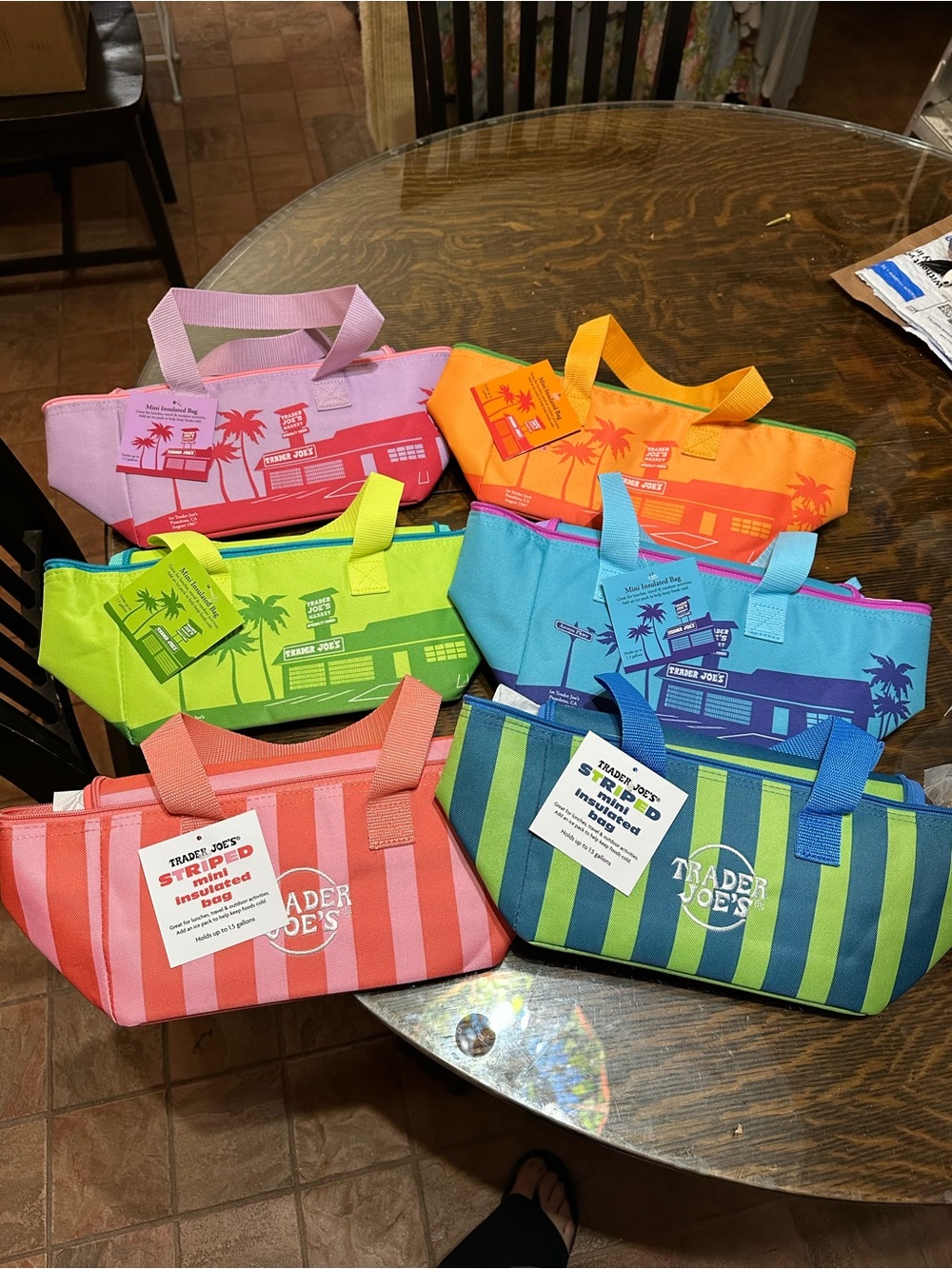 FULL SET OF 6 Trader Joe’s Mini Insulated Summer Lunch Boxes